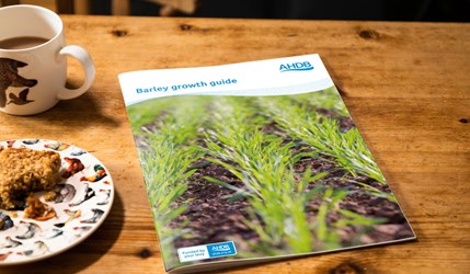  copy of the barley growth guide on a table.